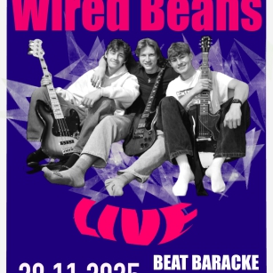 28.11.2025 - Wired Beans in Concert